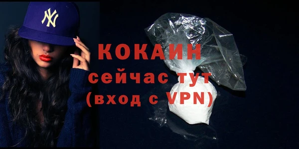 эйфоретик Арсеньев