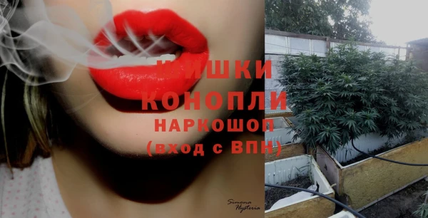 трава Армянск