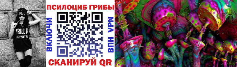 Галлюциногенные грибы мицелий omg рабочий сайт Оса